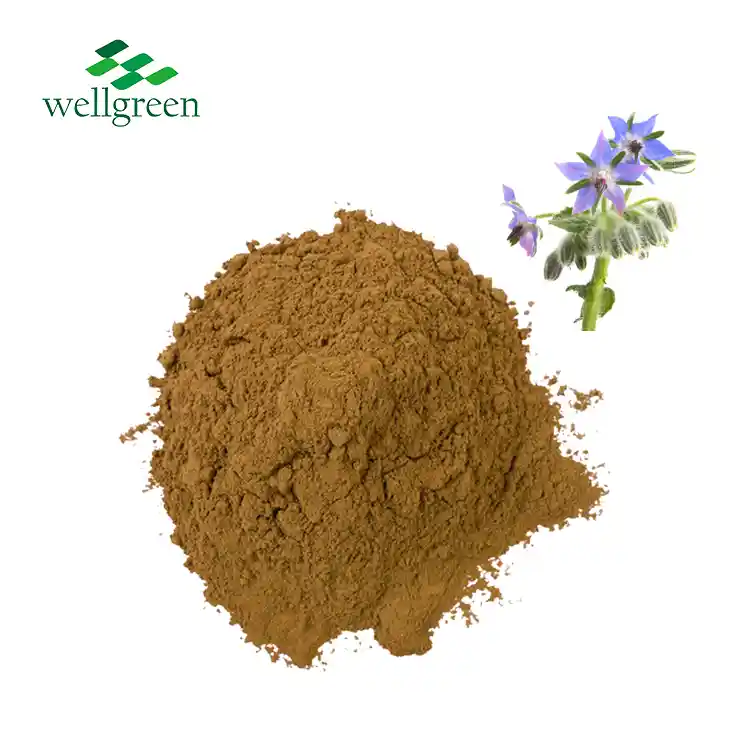 Borage Seed Extract